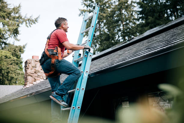 Best Gutter Installation and Repair  in Wabasso Beach, FL