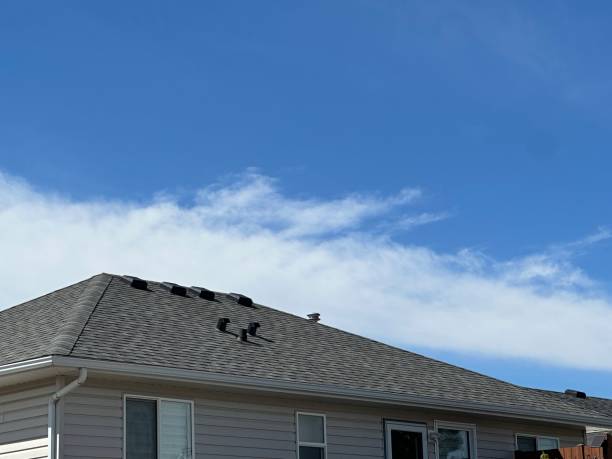 Best Wood Shake Roofing  in Wabasso Beach, FL